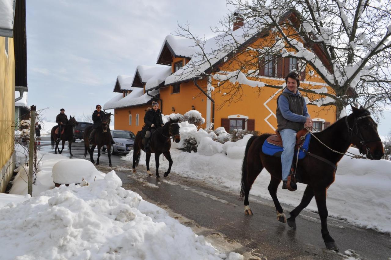 Apartments - Turisticna Kmetija Vrbnjak Ljutomer Luaran gambar